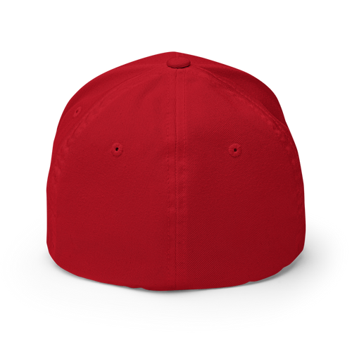 Switzerland Great Since 1291 Flexfit — vista posteriore con struttura a sei pannelli