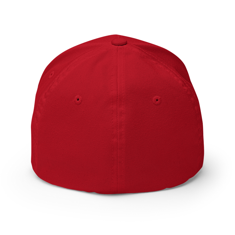 Switzerland Great Since 1291 Flexfit – New Model | Superior Comfort